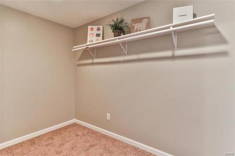 163 Criderville Dr, O'fallon, MO 63366 photo 31