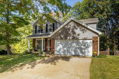 409 Oaktree Crossing Ct, Ballwin, MO 63021 photo 37