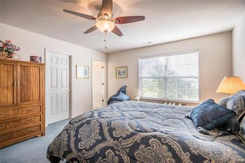 326 Merlin Dr, Weldon Spring, MO 63304 photo 37