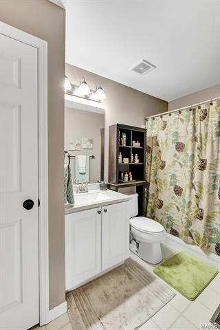 66 Ginger Tree Ct, O'fallon, MO 63368 photo 22