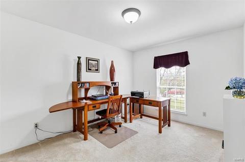 66 Ginger Tree Ct, O'fallon, MO 63368 photo 21