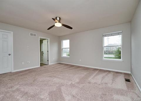 209 Fox Haven Ct, O'fallon, MO 63368 photo 47