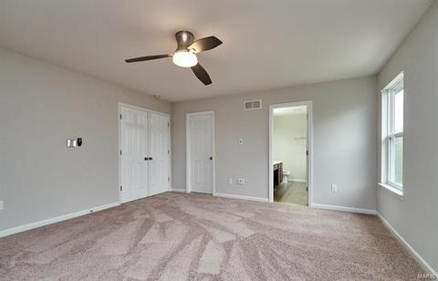 209 Fox Haven Ct, O'fallon, MO 63368 photo 49
