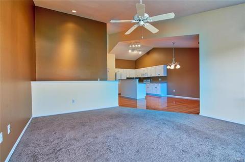 1000 Misty Mountain Ln, Eureka, MO 63025 photo 7