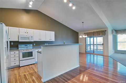 1000 Misty Mountain Ln, Eureka, MO 63025 photo 4