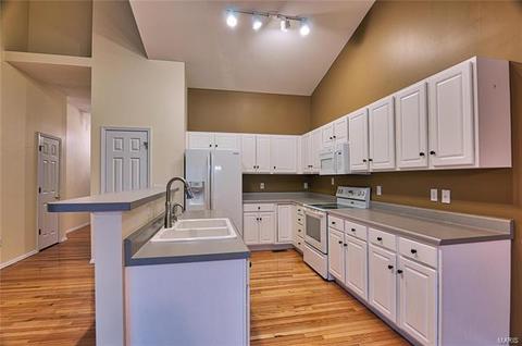 1000 Misty Mountain Ln, Eureka, MO 63025 photo 3