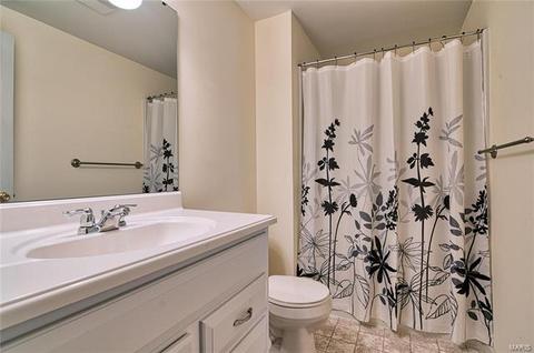 1000 Misty Mountain Ln, Eureka, MO 63025 photo 18