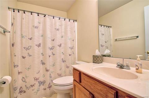 1000 Misty Mountain Ln, Eureka, MO 63025 photo 15