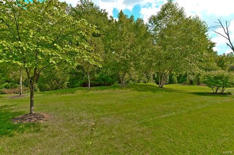 130 Fallon Villa Ct, O'fallon, MO 63368 photo 5