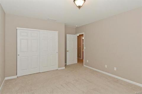 130 Fallon Villa Ct, O'fallon, MO 63368 photo 25