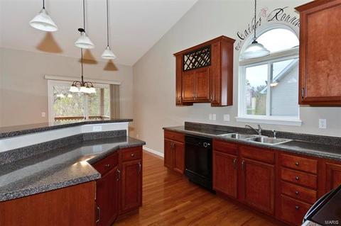 130 Fallon Villa Ct, O'fallon, MO 63368 photo 11