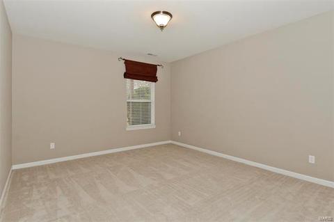 130 Fallon Villa Ct, O'fallon, MO 63368 photo 24