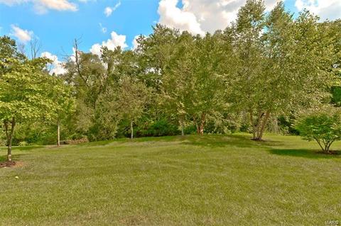 130 Fallon Villa Ct, O'fallon, MO 63368 photo 27