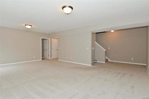 130 Fallon Villa Ct, O'fallon, MO 63368 photo 19