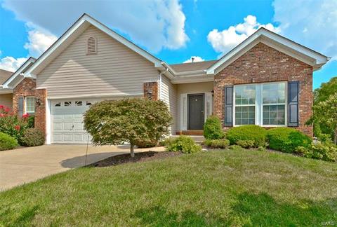 130 Fallon Villa Ct, O'fallon, MO 63368 photo 30