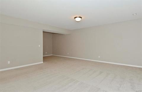 130 Fallon Villa Ct, O'fallon, MO 63368 photo 20