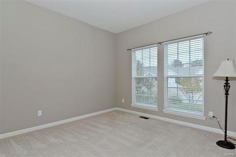 130 Fallon Villa Ct, O'fallon, MO 63368 photo 16