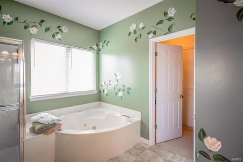 73 Red Stone Ct, O'fallon, MO 63368 photo 28