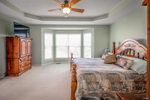73 Red Stone Ct, O'fallon, MO 63368 photo 29