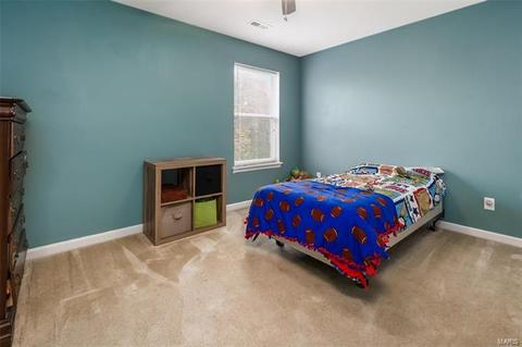 717 Phoenix Dr, O'fallon, MO 63368 photo 18
