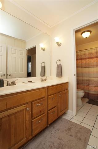 890 Torino Dr, Ballwin, MO 63021 photo 17