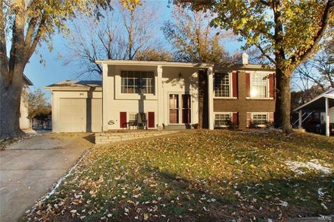 890 Torino Dr, Ballwin, MO 63021 photo 35