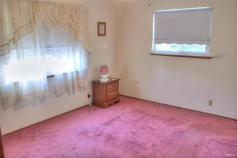 245 Lindy, Ballwin, MO 63021 photo 13