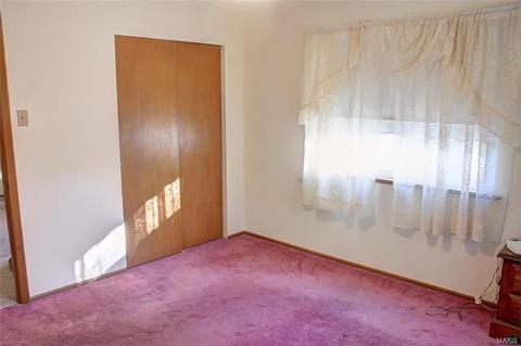 245 Lindy, Ballwin, MO 63021 photo 14