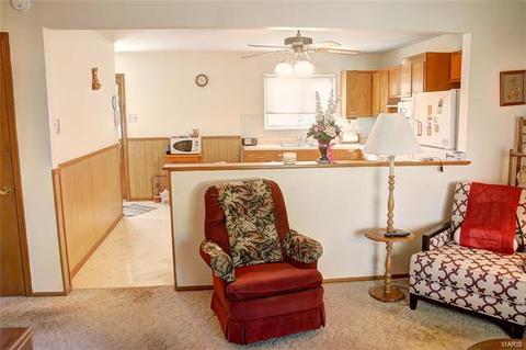 245 Lindy, Ballwin, MO 63021 photo 4