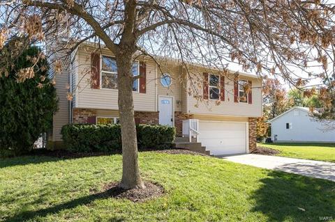 54 Royal Oaks Dr, O'fallon, MO 63366 photo 2