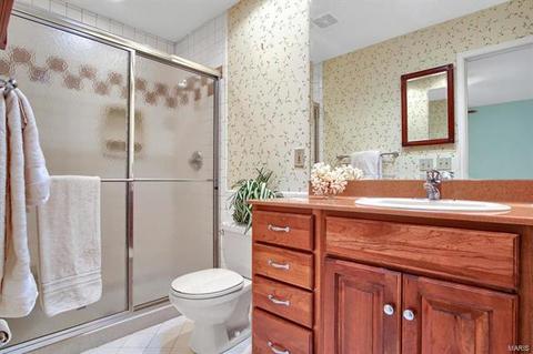 417 Glan Tai, Manchester, MO 63011 photo 25