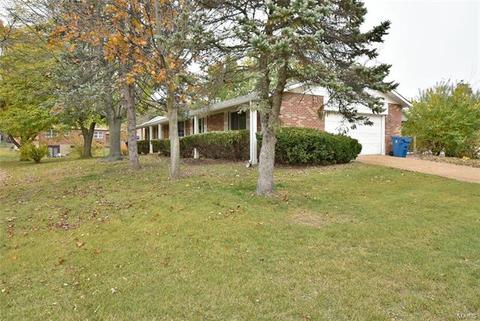 11797 Benedetta Dr, Bridgeton, MO 63044 photo 31