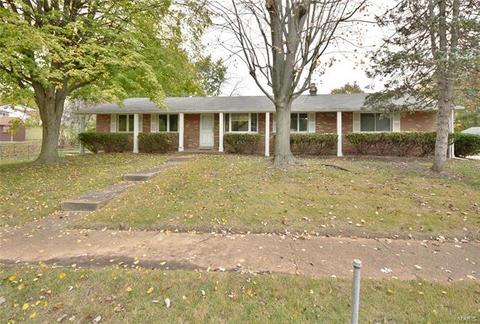 11797 Benedetta Dr, Bridgeton, MO 63044 photo 29