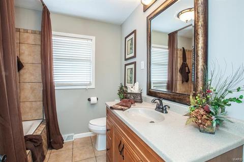 739 Winston Pl, O'fallon, MO 63366 photo 22