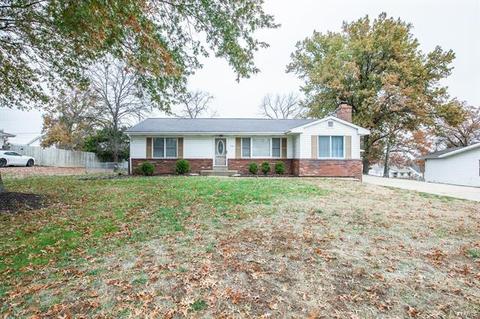 739 Winston Pl, O'fallon, MO 63366 photo 18