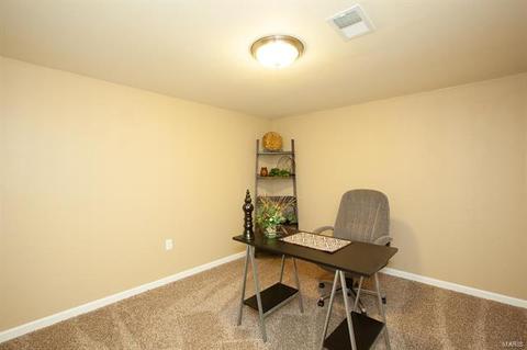 739 Winston Pl, O'fallon, MO 63366 photo 34