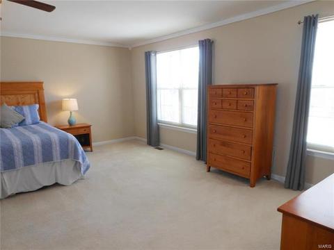 934 Midpoint Dr, O'fallon, MO 63366 photo 50