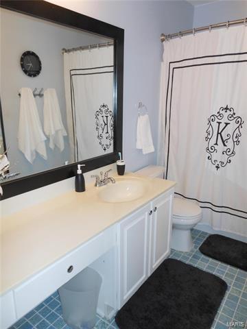 934 Midpoint Dr, O'fallon, MO 63366 photo 69