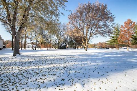6 Treeline Dr, O'fallon, MO 63366 photo 33