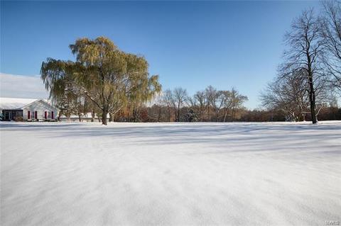 6 Treeline Dr, O'fallon, MO 63366 photo 30