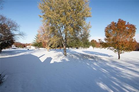 6 Treeline Dr, O'fallon, MO 63366 photo 35