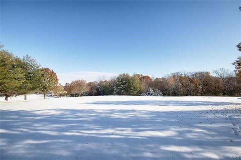 6 Treeline Dr, O'fallon, MO 63366 photo 34