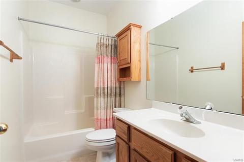 6 Treeline Dr, O'fallon, MO 63366 photo 21