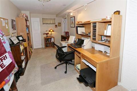 1048 Johanna Dr, Ballwin, MO 63021 photo 29