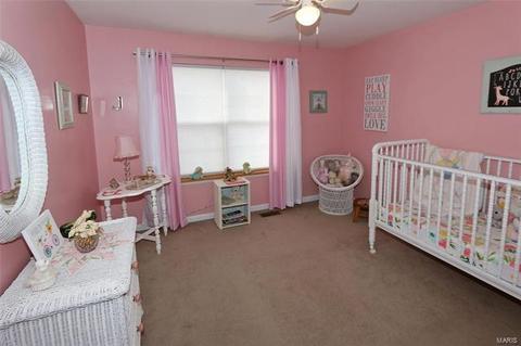 1048 Johanna Dr, Ballwin, MO 63021 photo 21