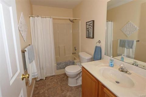 1048 Johanna Dr, Ballwin, MO 63021 photo 19