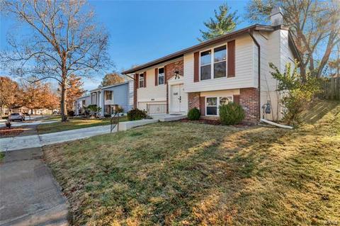688 Walnut Point Ct, Ballwin, MO 63021 photo 2