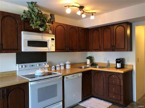 306 Carmel Woods Dr, Ellisville, MO 63021 photo 7