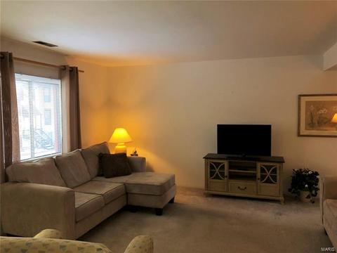 306 Carmel Woods Dr, Ellisville, MO 63021 photo 10