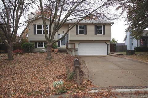 239 Rose Wind Dr, O'fallon, MO 63366 photo 1